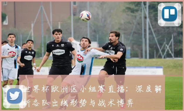 世界杯欧洲区小组赛直播：深度解析各队出线形势与战术博弈