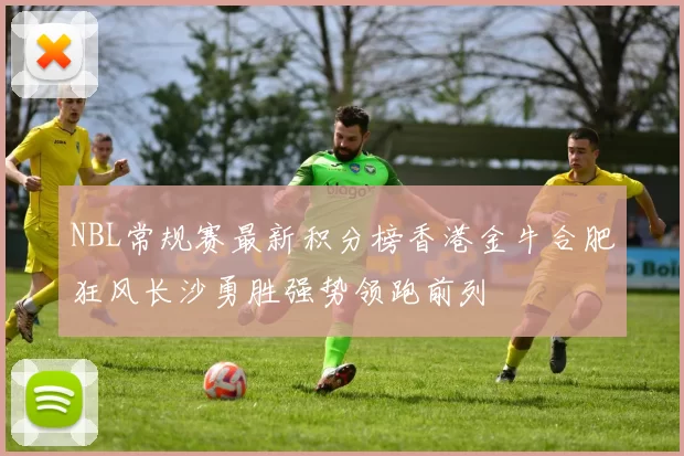 NBL常规赛最新积分榜香港金牛合肥狂风长沙勇胜强势领跑前列