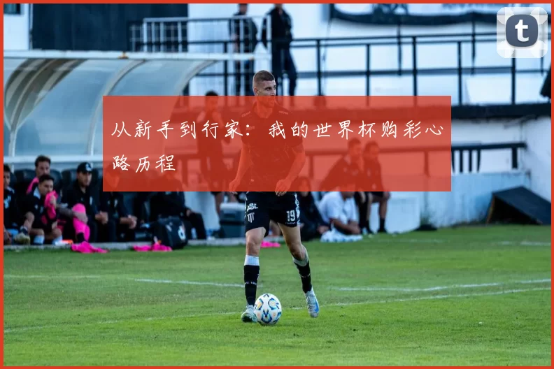 从新手到行家：我的世界杯购彩心路历程