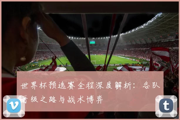 世界杯预选赛全程深度解析：各队晋级之路与战术博弈
