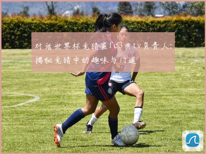 对话世界杯竞猜虽fc3典tv负责人：揭秘竞猜中的趣味与门道