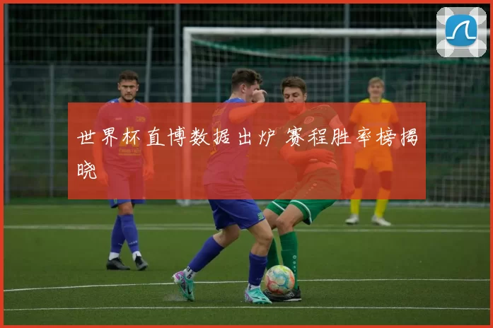 世界杯直博数据出炉 赛程胜率榜揭晓